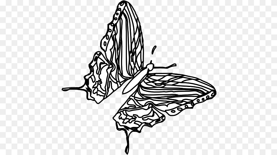 Butterfly Black White Line Art, Flower, Plant, Adult, Female Png Image