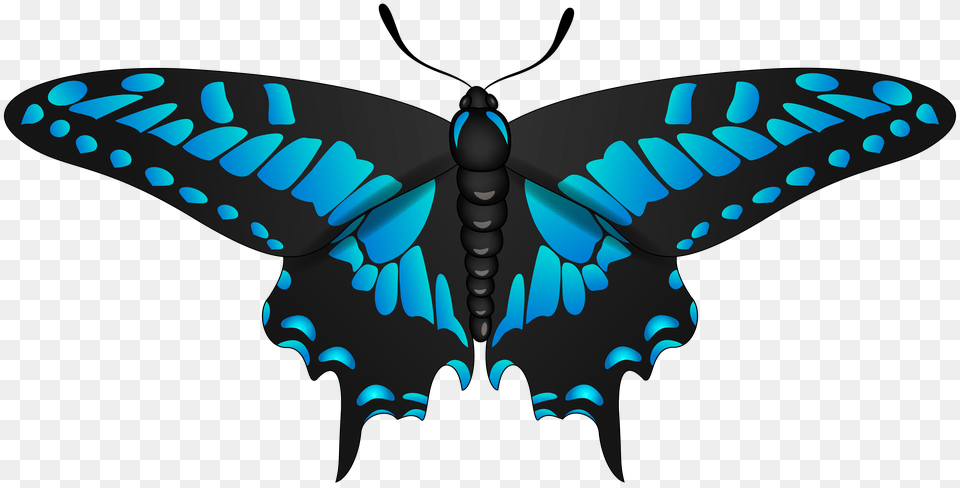 Butterfly Blue Black Clip Art, Animal, Insect, Invertebrate Png Image