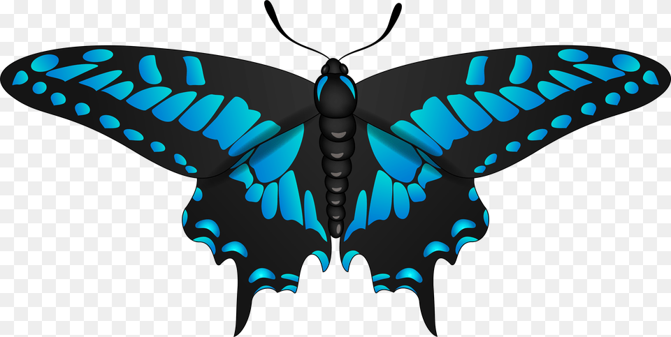 Butterfly Blue Black Clip Art Imageu200b Gallery Yopriceville Clip Art, Animal, Insect, Invertebrate, Reptile Free Transparent Png