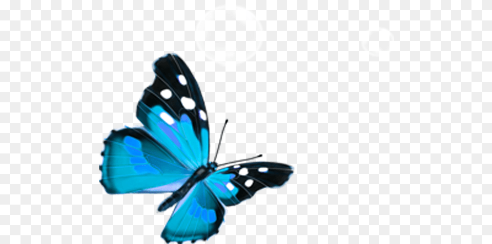 Butterfly Blue Blue Butterfly Transparent, Animal, Insect, Invertebrate, Person Free Png