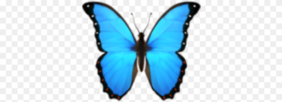 Butterfly Blue Bluebutterfly Emoji Butterfly Emoji, Animal, Insect, Invertebrate, Person Png Image