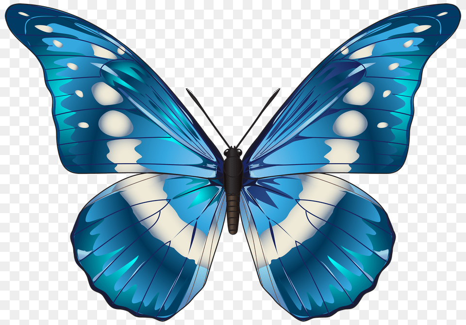 Butterfly Blue Clip Art, Animal, Invertebrate, Insect, Grass Png Image