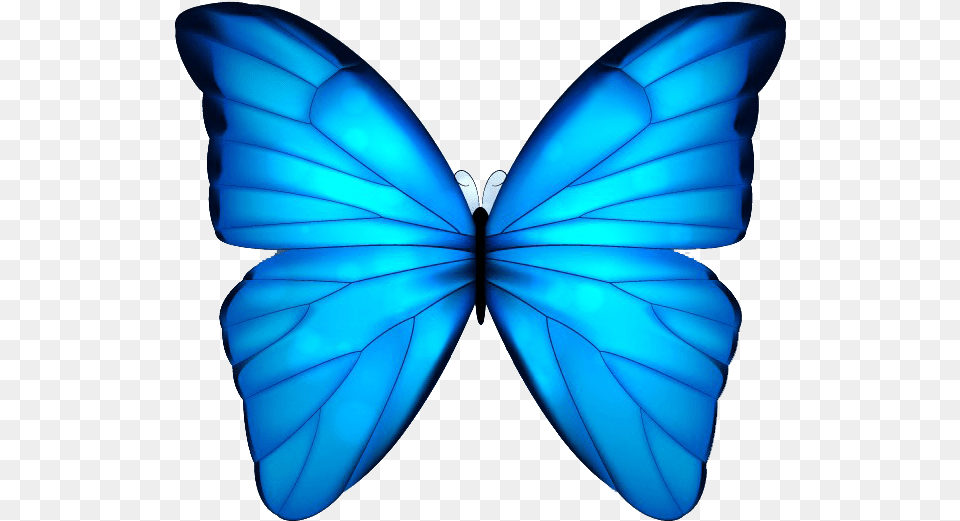 Butterfly Blue Clip Art Blue Butterfly White Background, Animal, Insect, Invertebrate Free Png