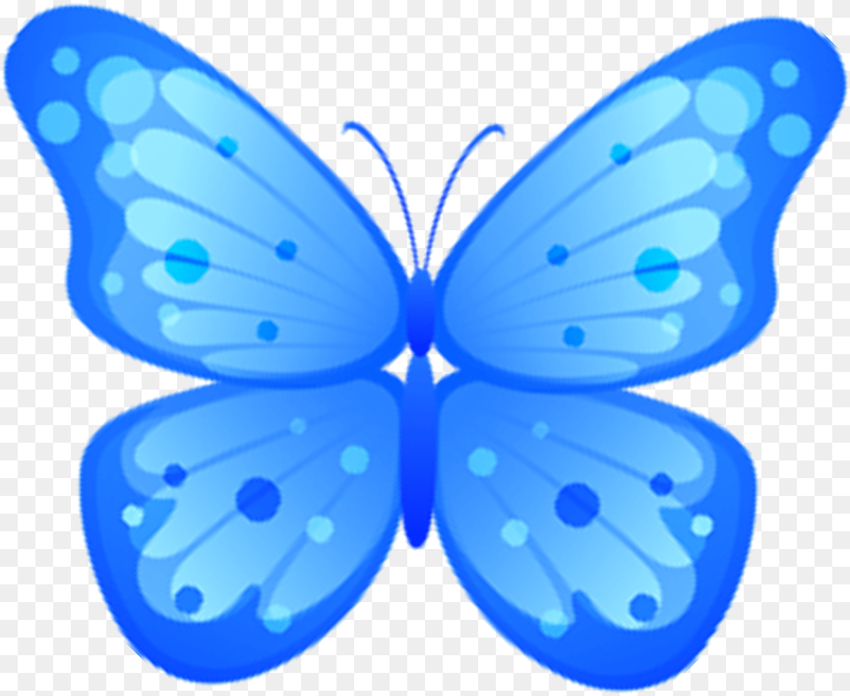 Butterfly Blue Image Free Download, Animal, Reptile, Snake, Insect Png