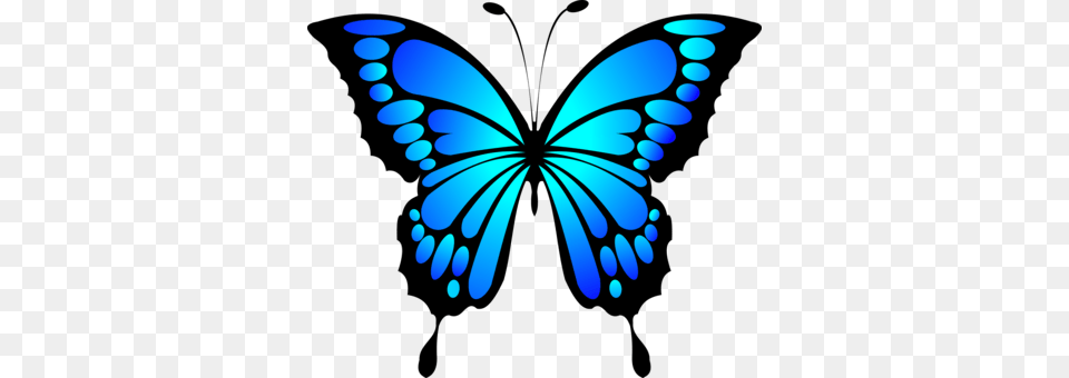 Butterfly Blue Purple Swallowtails Drawing, Animal, Insect, Invertebrate Free Transparent Png
