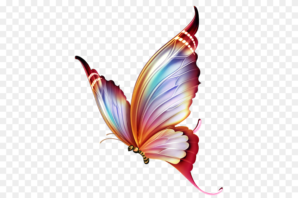 Butterfly Borboletas Pintura Em Tecido E Adesivo, Art, Graphics, Floral Design, Pattern Png