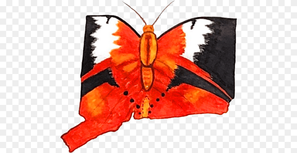 Butterfly Brush Footed Butterfly, Animal, Insect, Invertebrate, Moth Png Image