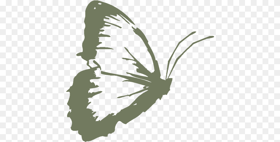 Butterfly Butterflies, Person, Animal, Insect, Invertebrate Free Transparent Png
