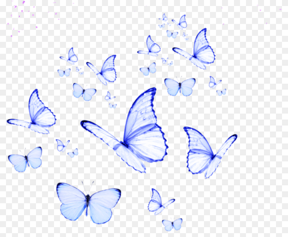 Butterfly Butterflies Cute Kpop Purple Overlay Butterfly Wallpaper Aesthetic, Animal, Insect, Invertebrate, Plant Free Png