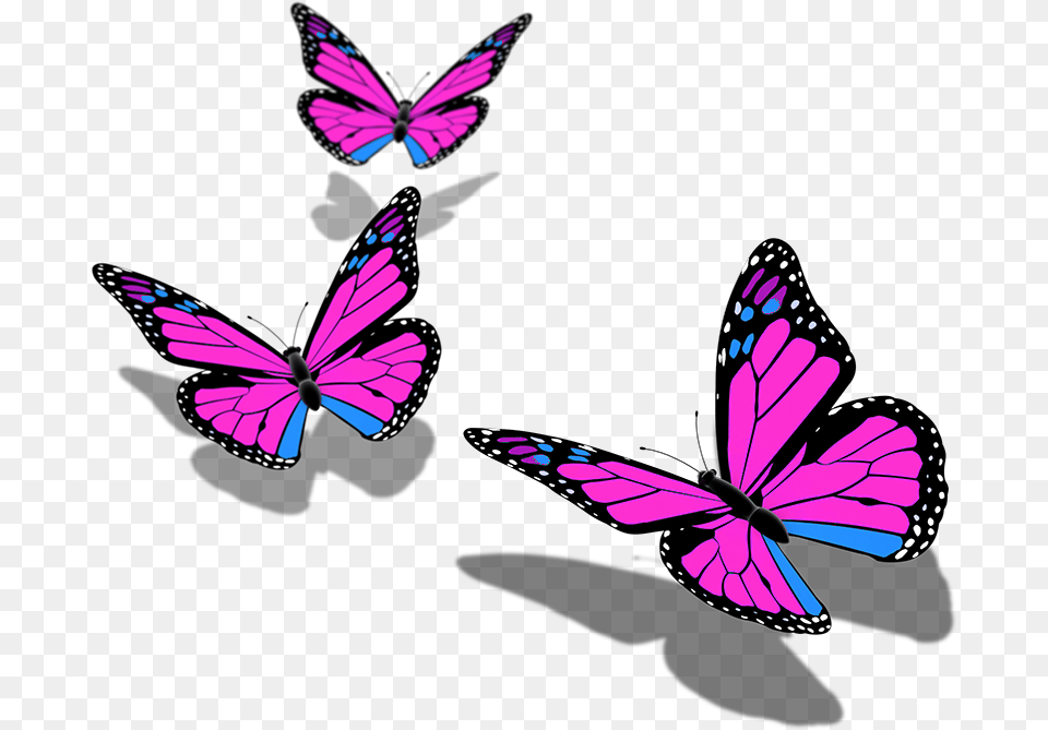 Butterfly Butterflies Mariposa Ftestickers Stickers Transparent Background Butterfly Hd, Purple, Animal, Insect, Invertebrate Free Png Download