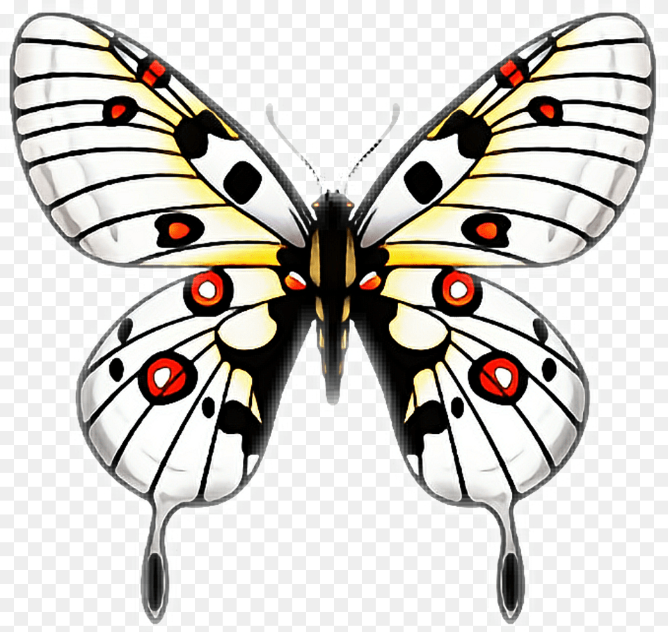 Butterfly Butterflies Papillon Mariposa Ftestickers Clip Art Kupu Kupu, Animal, Insect, Invertebrate Free Png Download