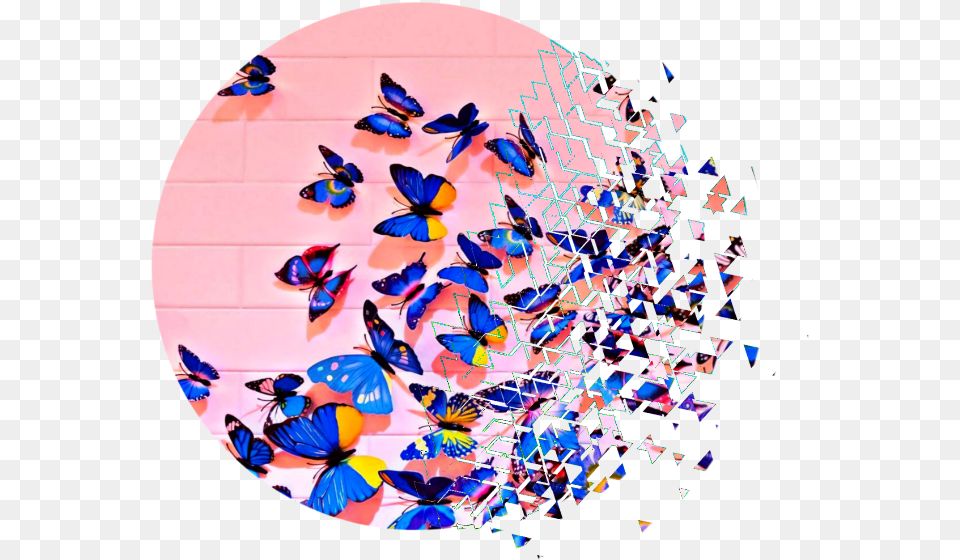Butterfly Butterflies Pink Blue Nature Pinkaesthetic Aesthetic Design Aesthetic Butterfly, Art, Modern Art, Collage Free Transparent Png