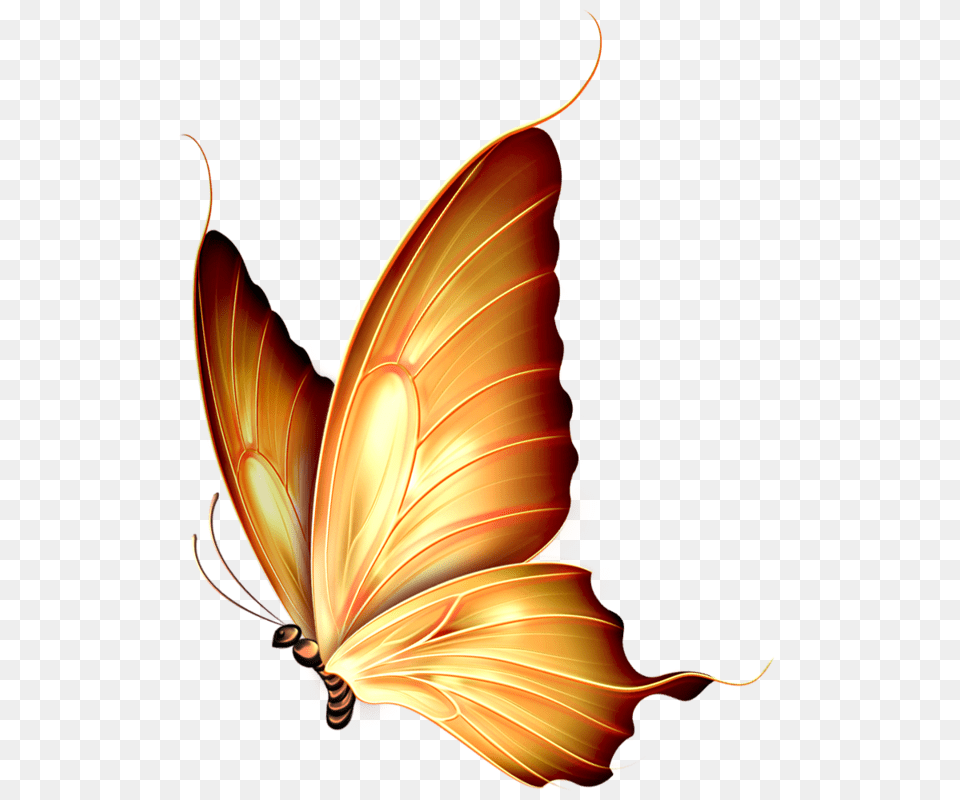 Butterfly Butterfly, Chandelier, Lamp, Pattern, Animal Free Png
