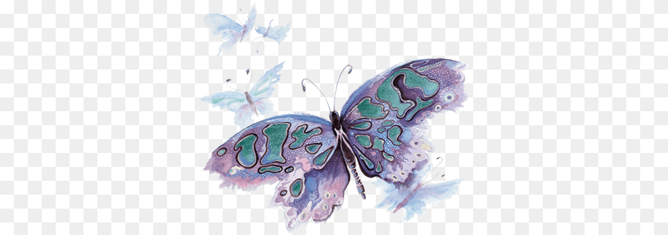 Butterfly Butterfly, Animal, Insect, Invertebrate, Accessories Free Png