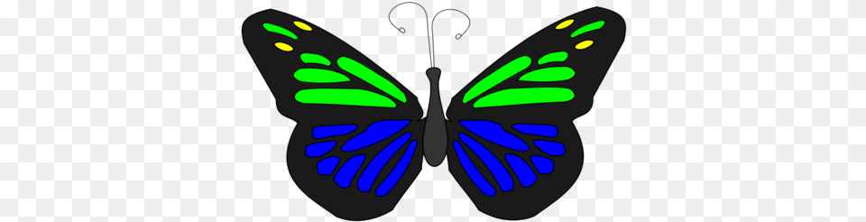 Butterfly Butterfly Animation, Animal, Insect, Invertebrate Free Transparent Png
