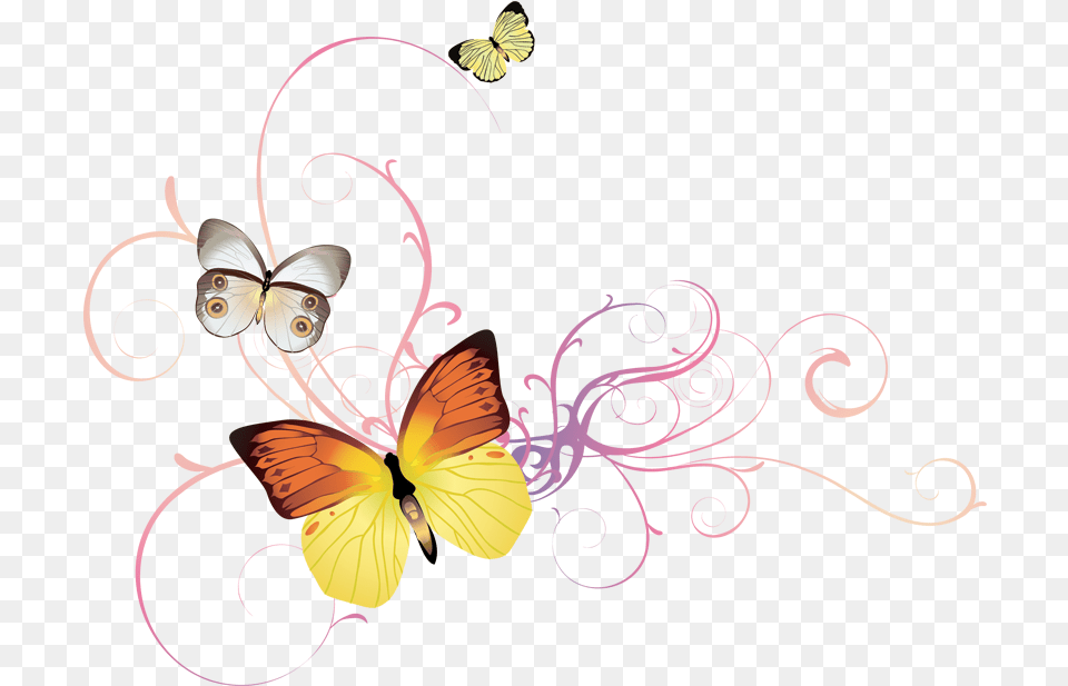 Butterfly Butterfly Floral, Art, Floral Design, Graphics, Pattern Free Transparent Png