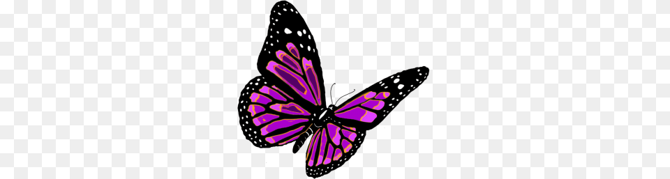 Butterfly Butterfly Purple, Animal, Insect, Invertebrate, Appliance Free Png Download