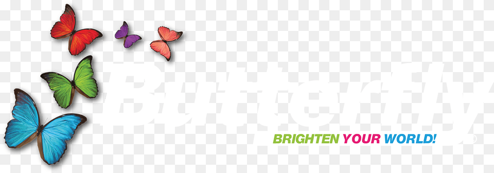 Butterfly Butterfly Stationery Logo Png Image