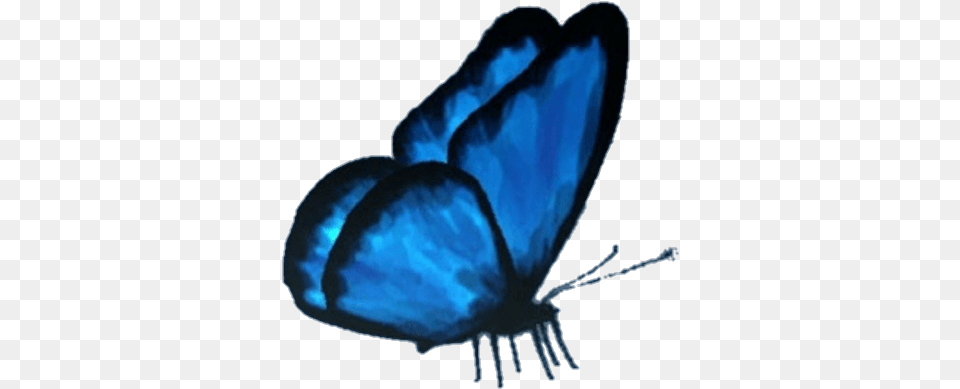 Butterfly Butterflyeffect Lifeisstrange Max Cloe Butterfly Picsart, Animal, Insect, Invertebrate Png Image