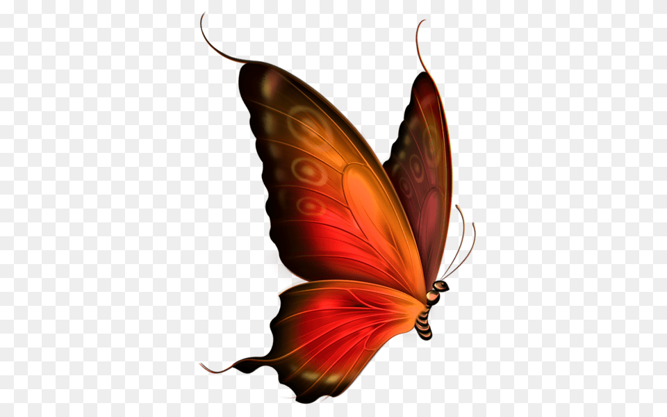 Butterfly Butterflys Dragonflys Butterfly, Pattern, Accessories, Leaf, Plant Free Png
