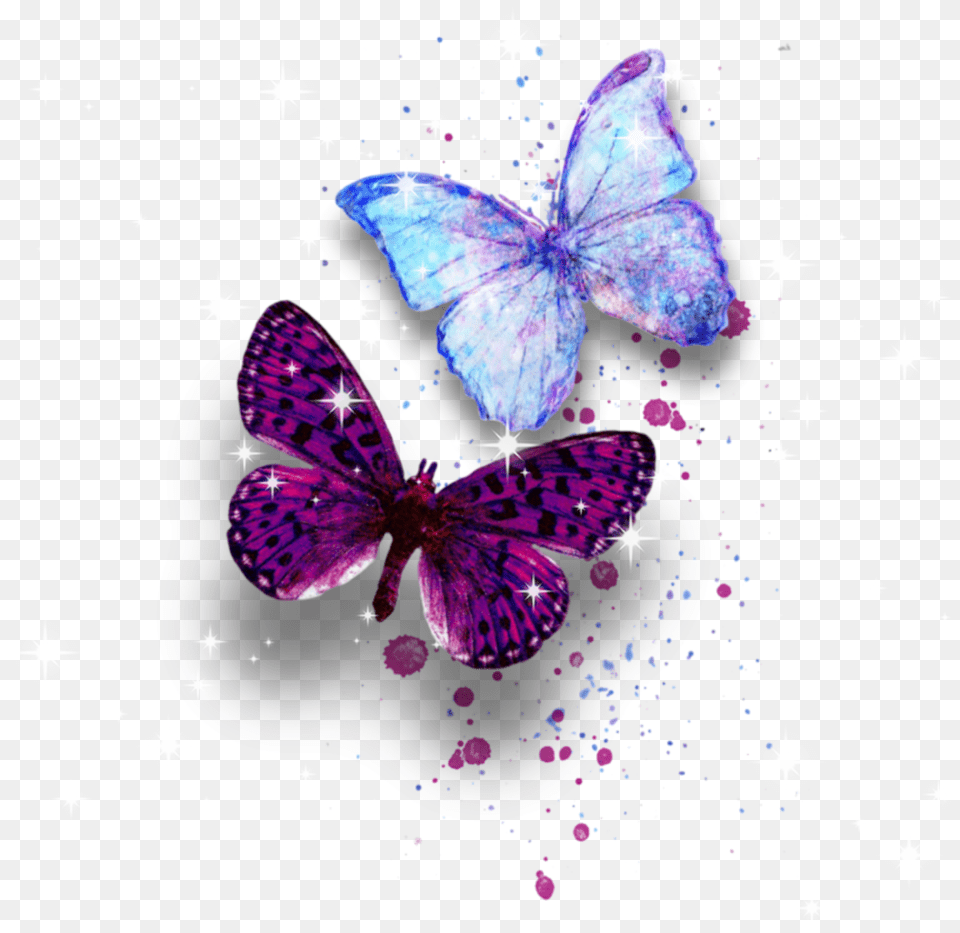 Butterfly Butterflywings Sticker Background Pink Watercolor Butterfly, Art, Flower, Graphics, Petal Free Transparent Png