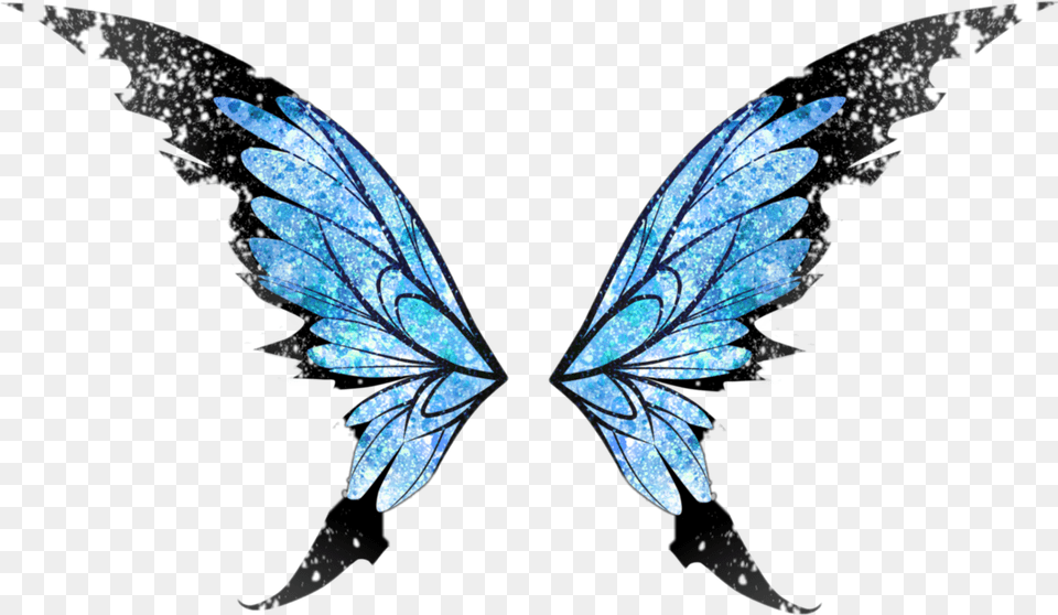 Butterfly Butterflywings Wings Angel Angelwings Fairy Wings No Background, Accessories, Leaf, Plant, Jewelry Png
