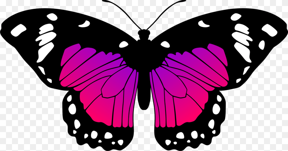 Butterfly By Eiluvision Pink And Purple Butterfly, Animal, Insect, Invertebrate, Person Png