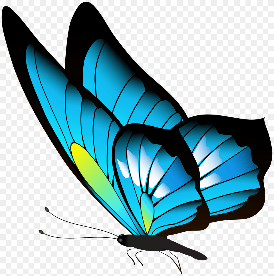 Butterfly Clip, Animal, Bird, Jay Free Transparent Png