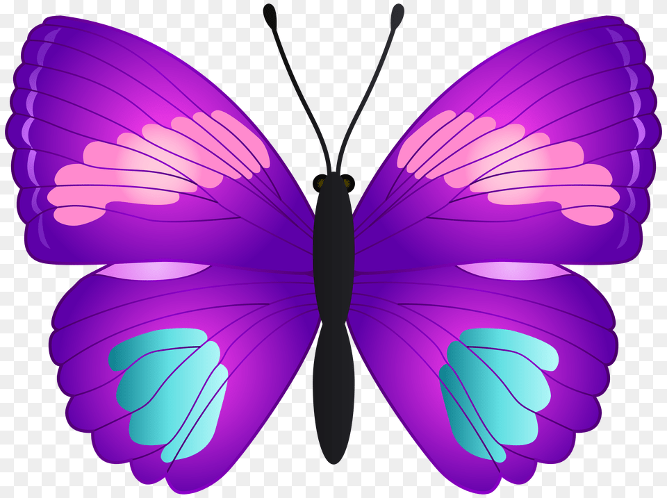 Butterfly Clip, Purple, Art, Graphics Free Png Download