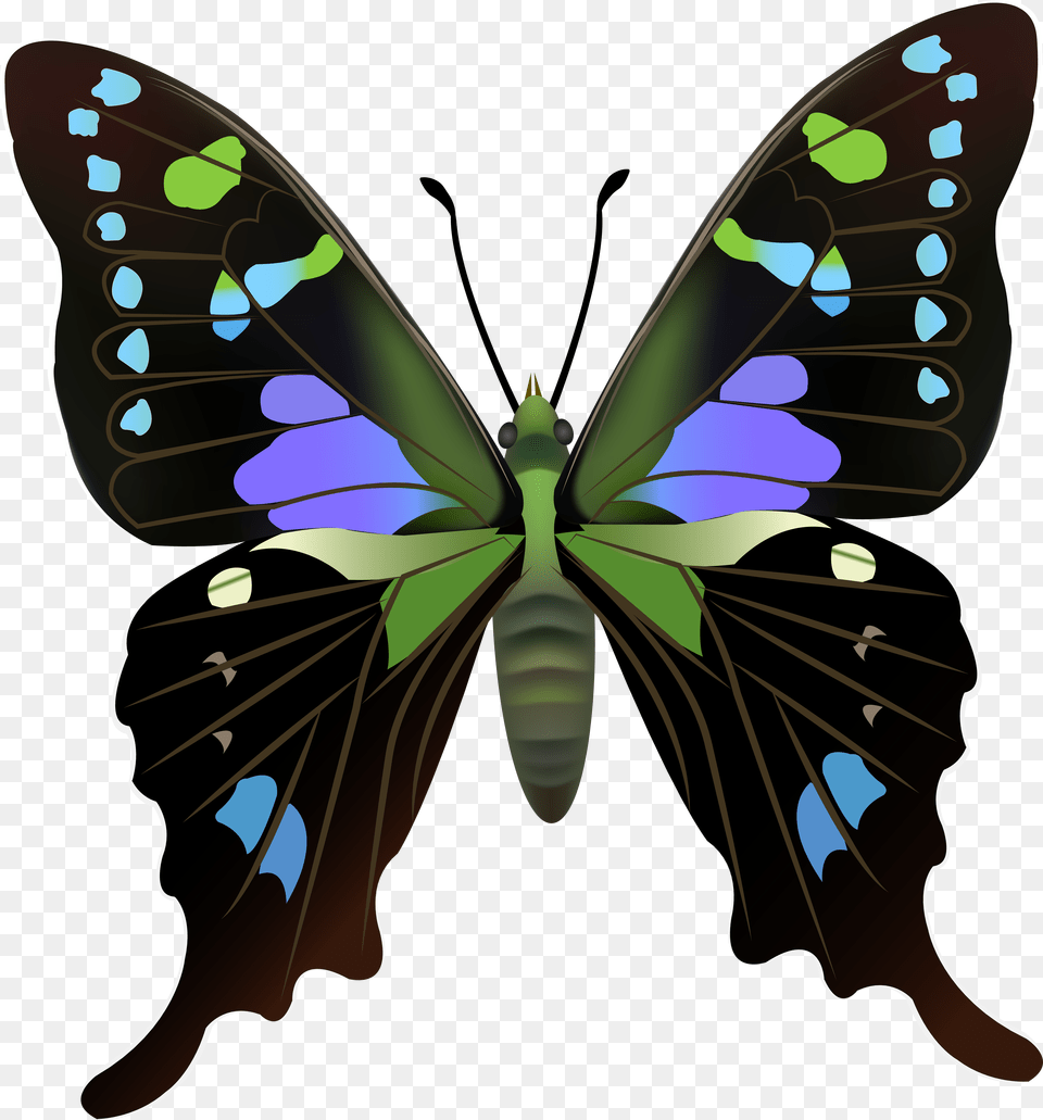 Butterfly Clip Art Free Transparent Png