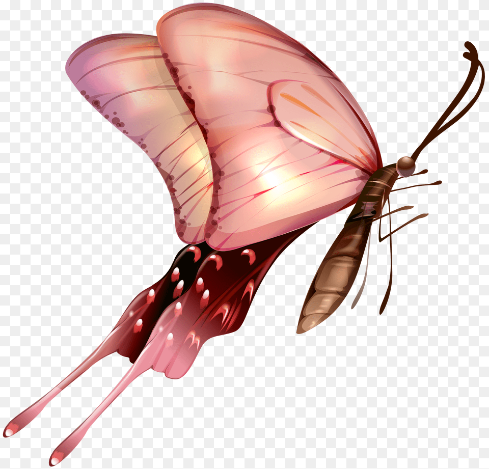 Butterfly Clip Art Free Png