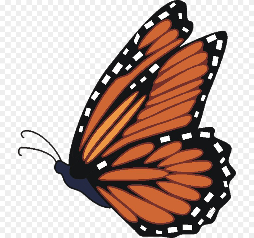 Butterfly Clip Art, Animal, Insect, Invertebrate, Monarch Free Png Download