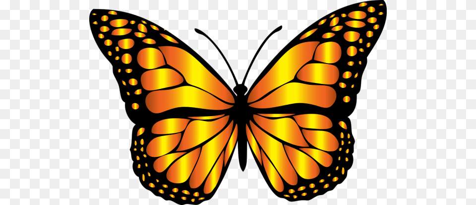 Butterfly Clip Art, Animal, Insect, Invertebrate, Monarch Png