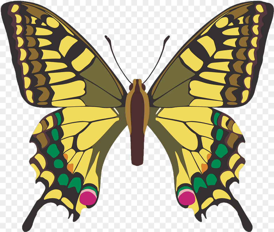 Butterfly Clip Art, Animal, Insect, Invertebrate, Moth Png Image