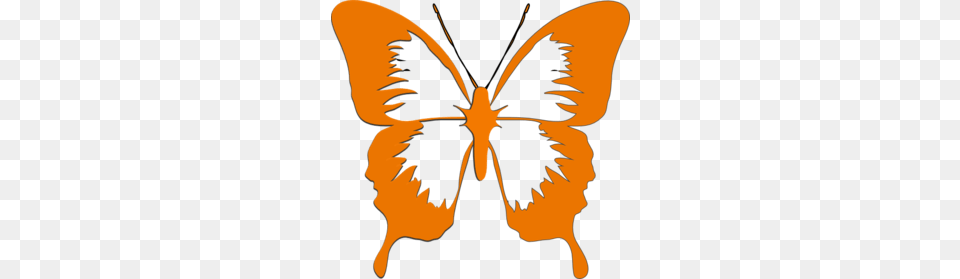 Butterfly Clip Art, Person, Face, Head Png