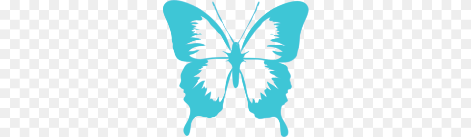 Butterfly Clip Art, Baby, Person, Face, Head Free Png