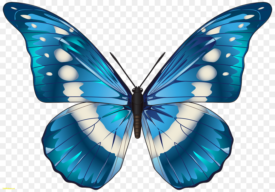 Butterfly Clip Art Blue Butterfly, Animal, Insect, Invertebrate, Appliance Png