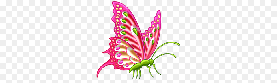 Butterfly Clip Art Clip Art, Floral Design, Graphics, Pattern Free Transparent Png