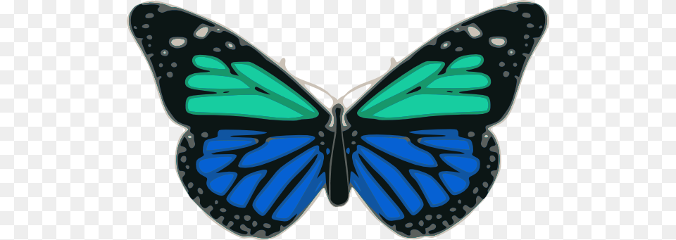 Butterfly Clip Art For Web, Animal, Insect, Invertebrate Png