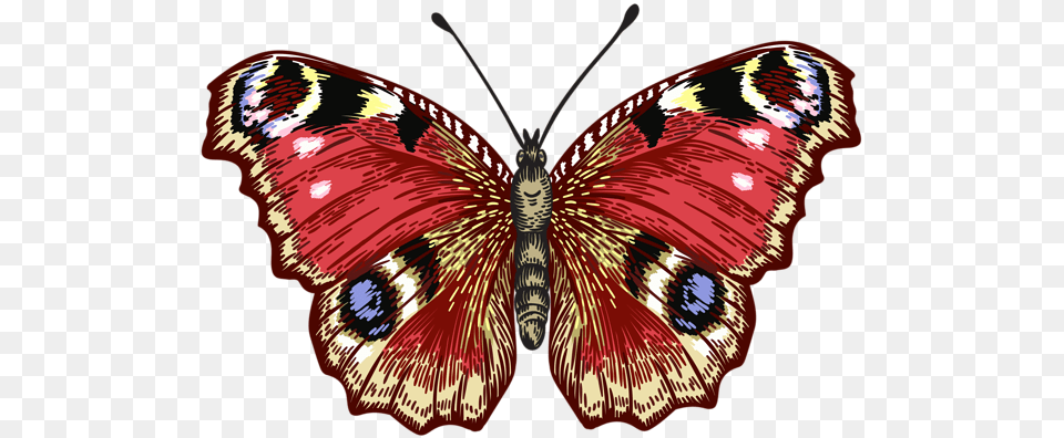 Butterfly Clip Art Image American Painted Lady, Insect, Animal, Invertebrate, Moth Free Png Download