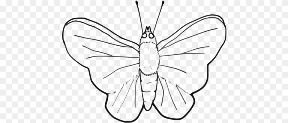 Butterfly Clip Art Moth Black And White, Animal, Bee, Insect, Invertebrate Png