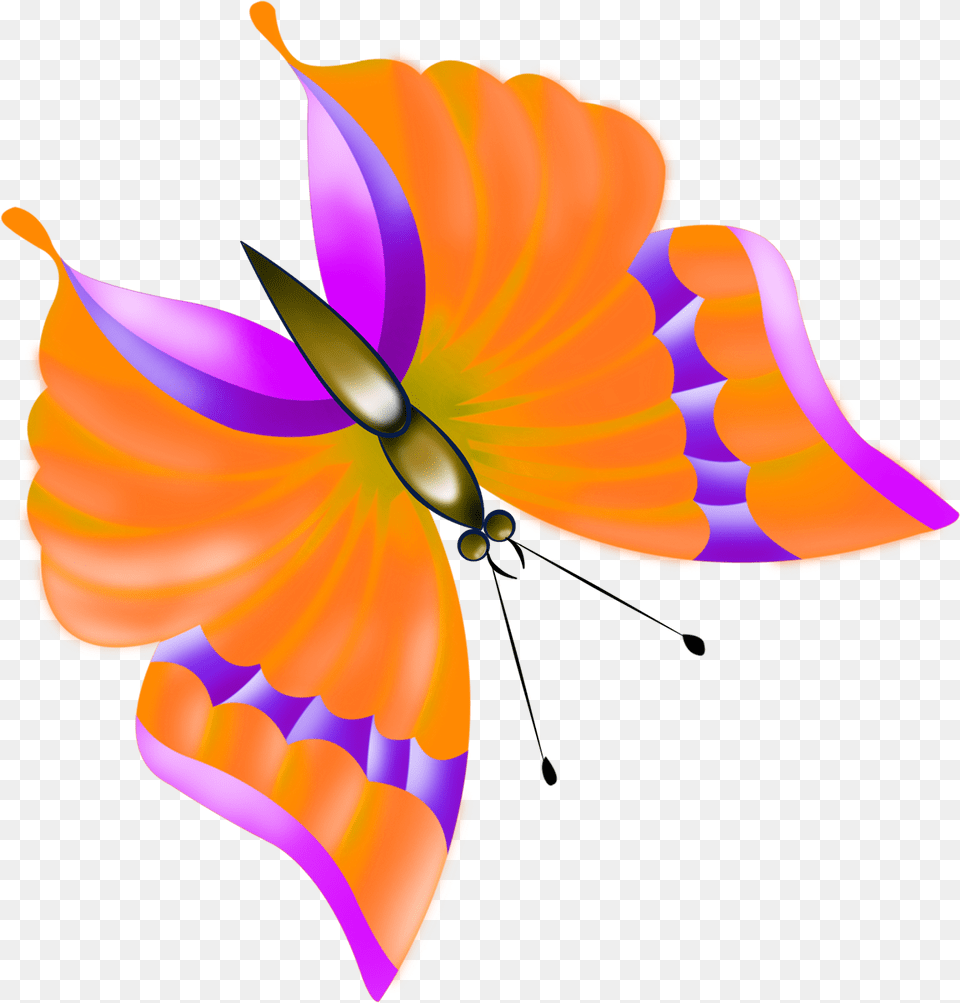 Butterfly Clip Art Orange Butterfly Butterfly Images Butterfly, Graphics, Flower, Petal, Plant Png Image