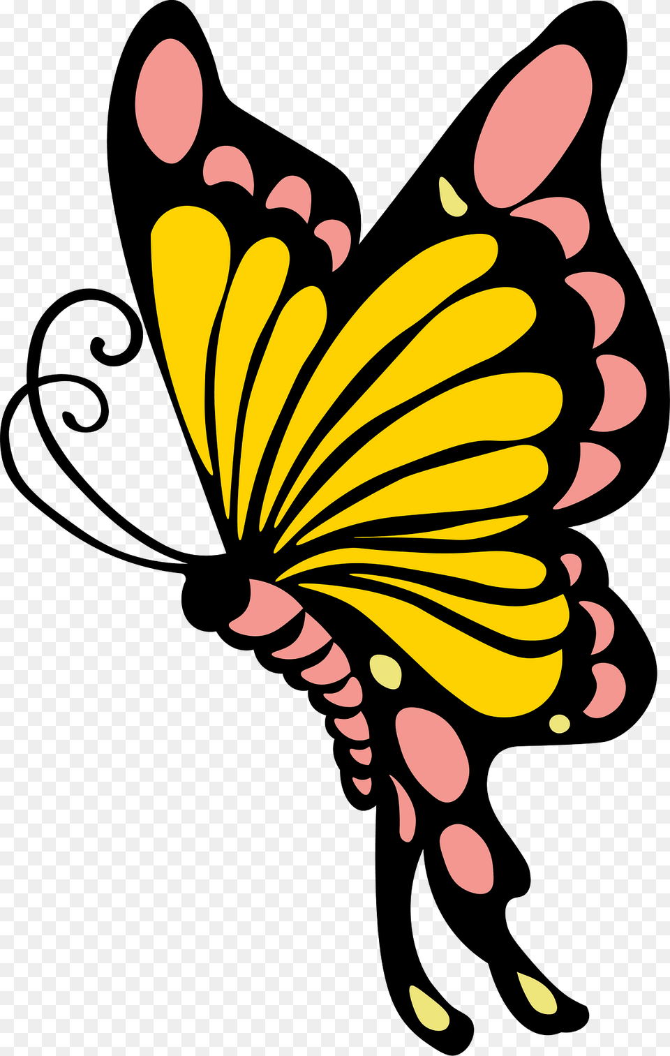 Butterfly Clipart, Animal, Insect, Invertebrate, Flower Free Png