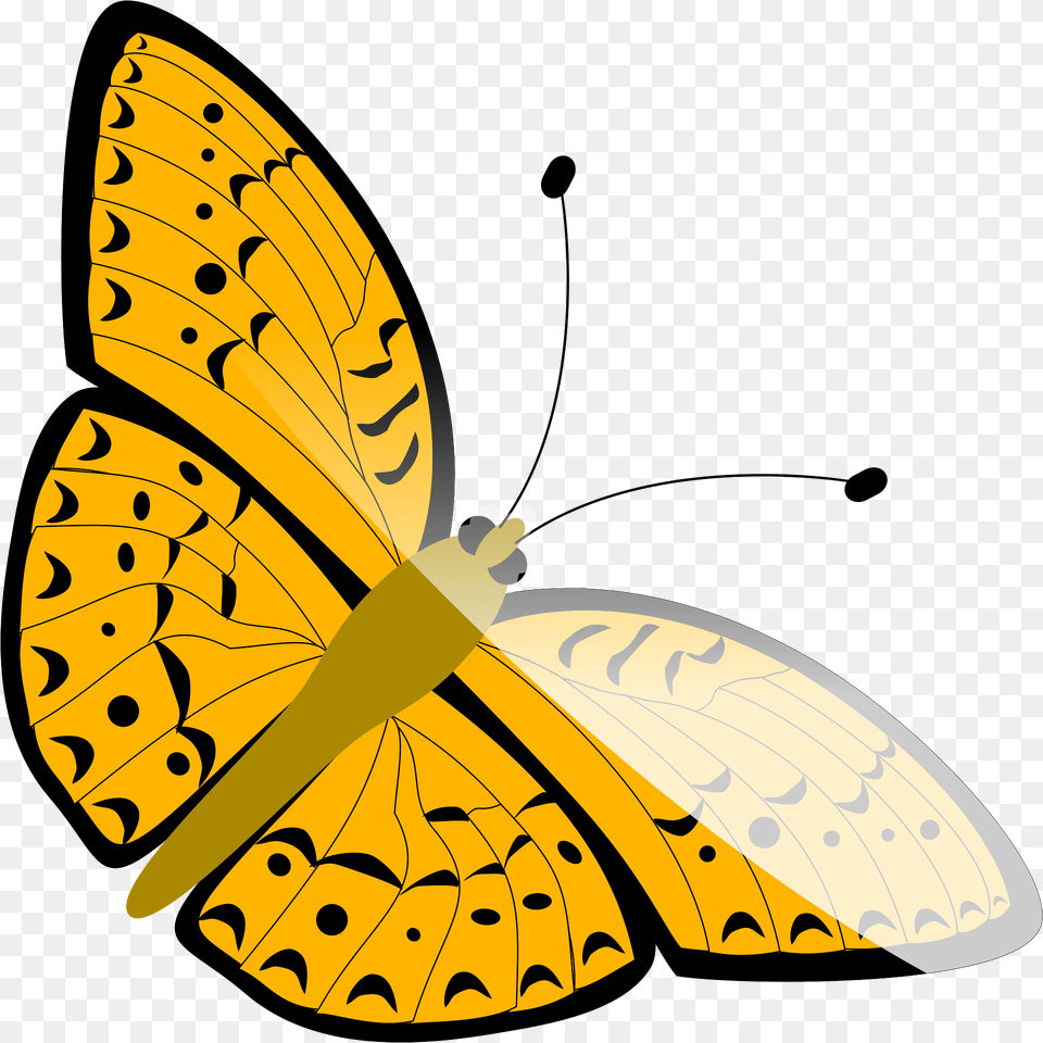 Butterfly Clipart, Animal, Insect, Invertebrate, Fish Free Png