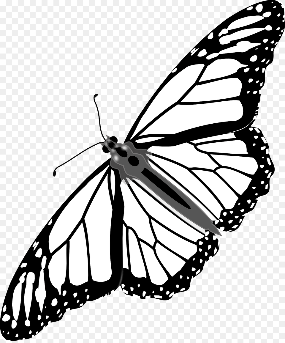 Butterfly Clipart, Animal, Insect, Invertebrate Free Png Download
