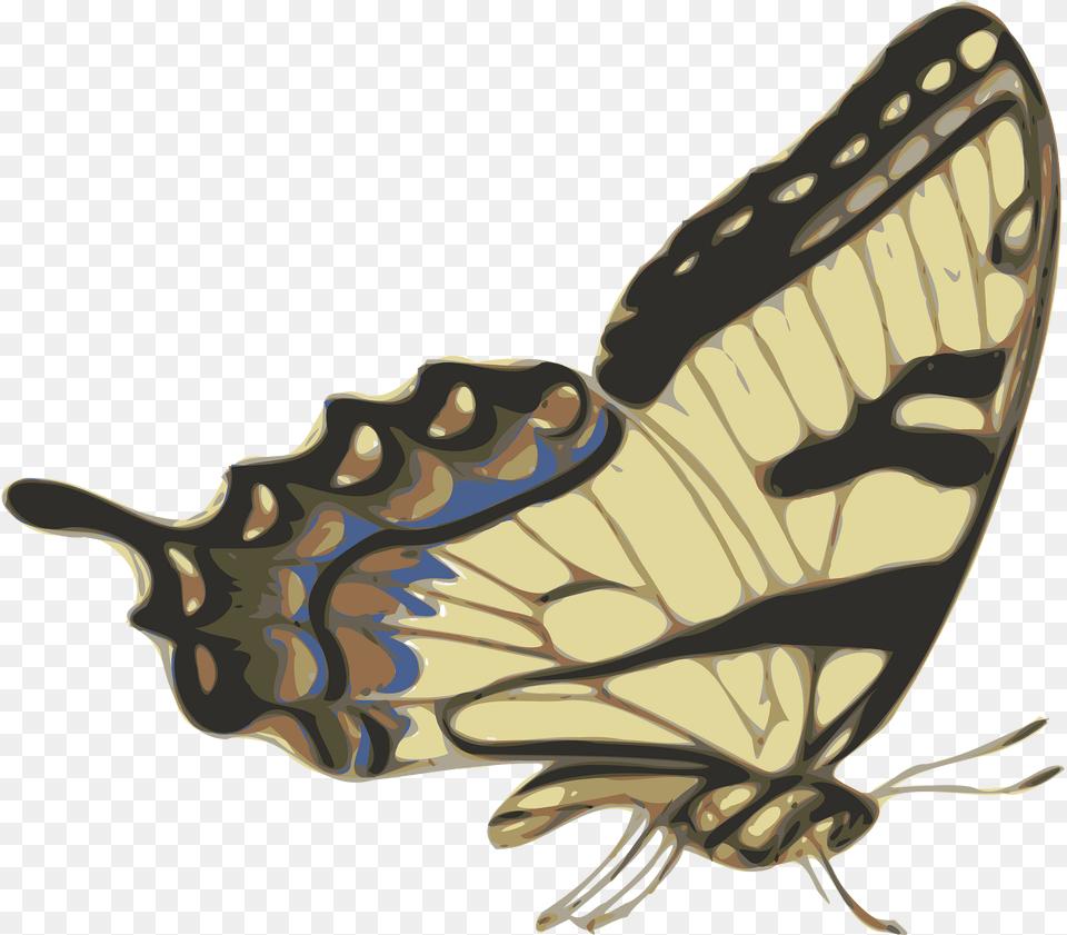Butterfly Clipart, Animal, Insect, Invertebrate Png Image