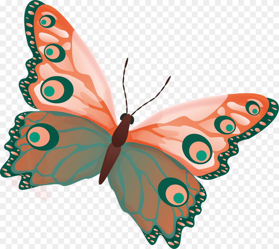 Butterfly Clipart, Art, Graphics, Animal, Sea Life Png Image