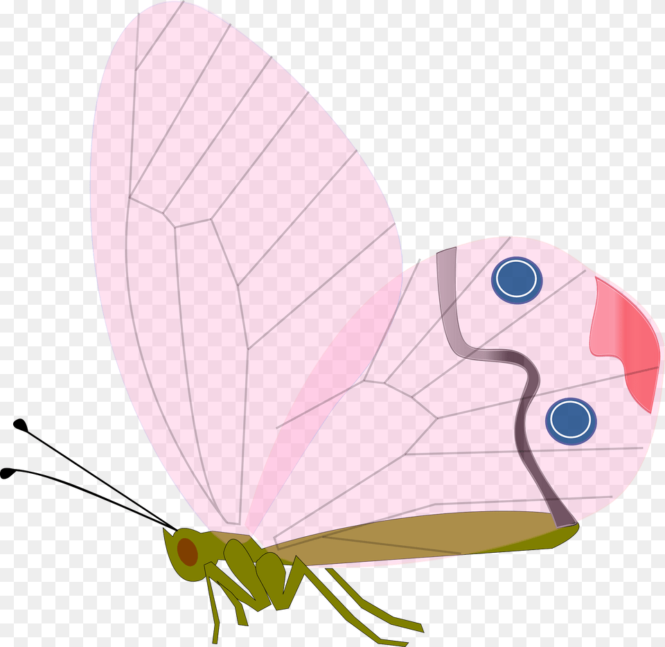 Butterfly Clipart, Animal, Insect, Invertebrate Free Png