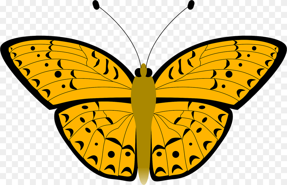 Butterfly Clipart, Animal, Insect, Invertebrate Free Transparent Png