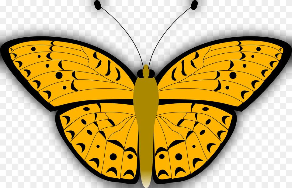 Butterfly Clipart, Animal, Insect, Invertebrate, Person Png